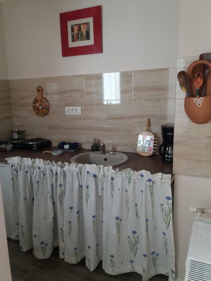 Skyline Central Apartment Τιμισοάρα Εξωτερικό φωτογραφία
