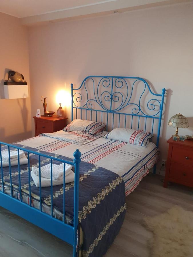 Skyline Central Apartment Τιμισοάρα Εξωτερικό φωτογραφία