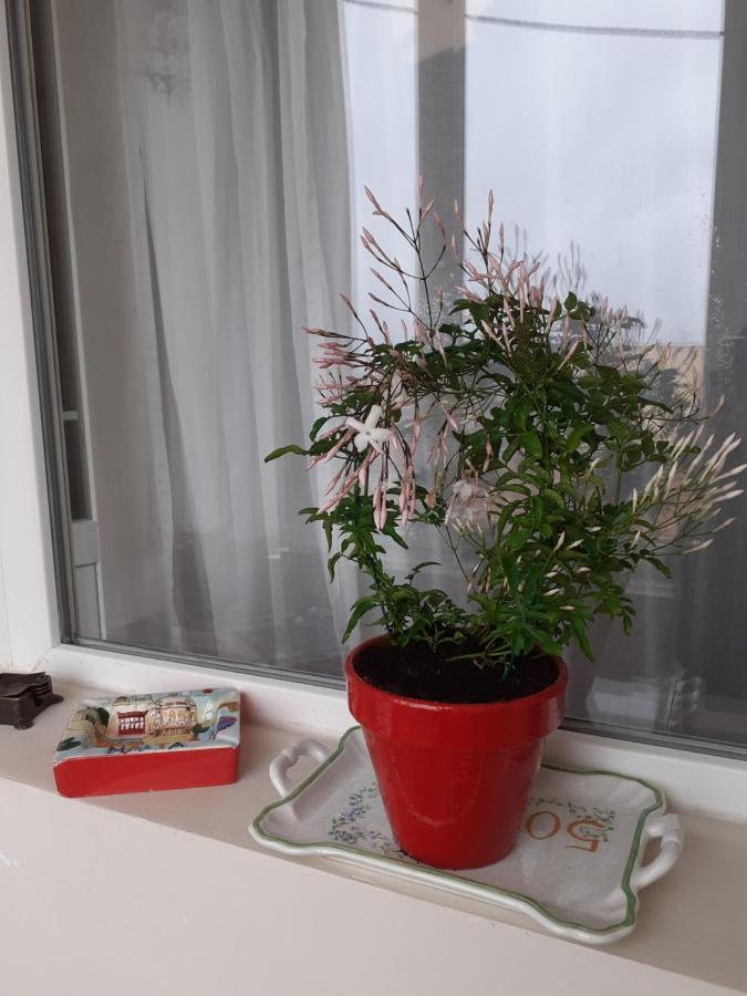 Skyline Central Apartment Τιμισοάρα Εξωτερικό φωτογραφία