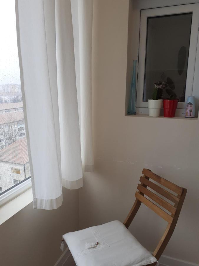 Skyline Central Apartment Τιμισοάρα Εξωτερικό φωτογραφία